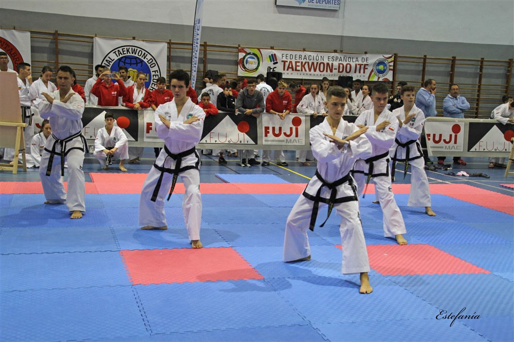 Copa Seul 2018 (330).jpg